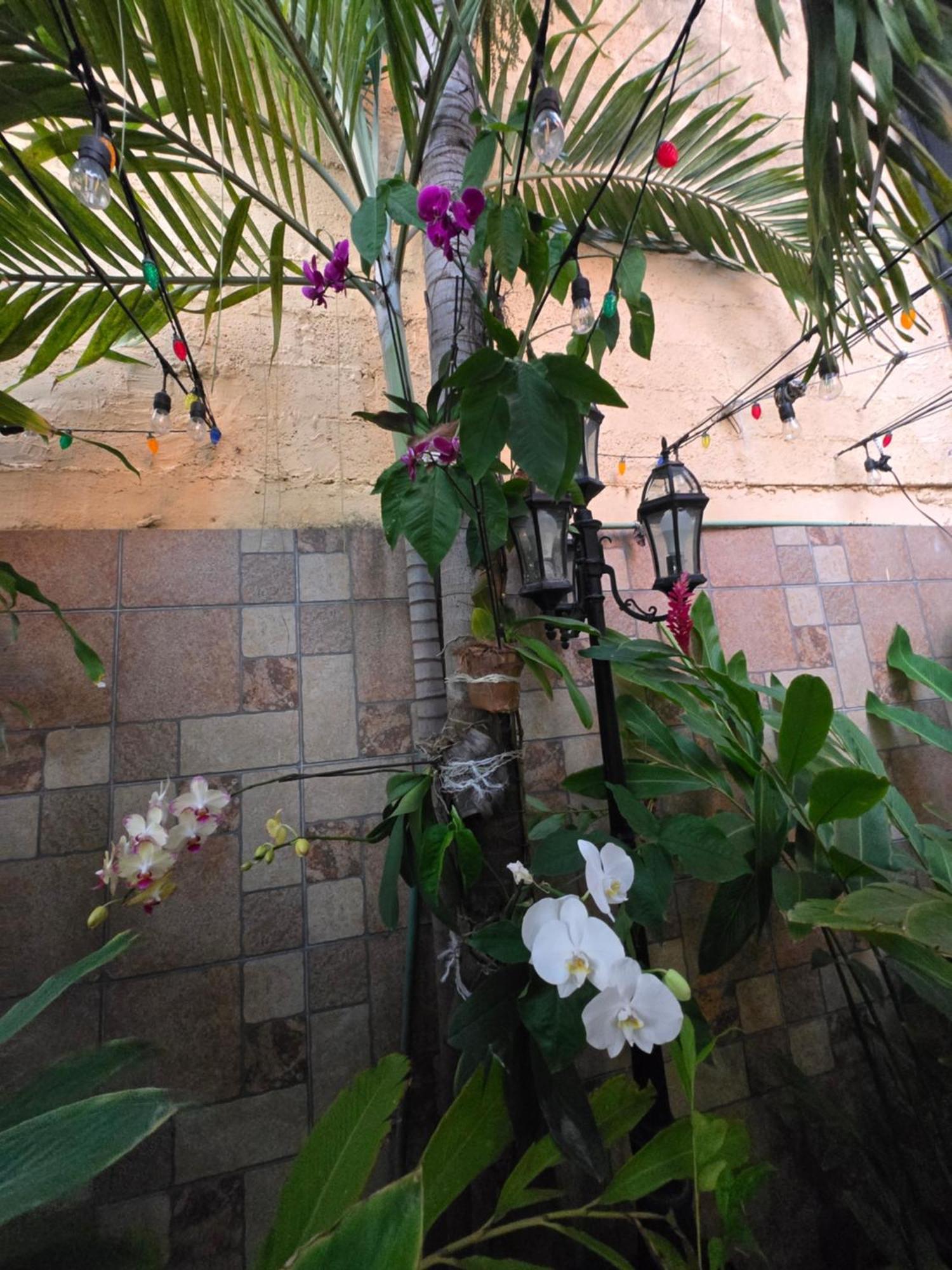 Hotel Posada Marcas Cancún Exteriér fotografie